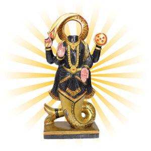 Ketu Grah Shanti Puja