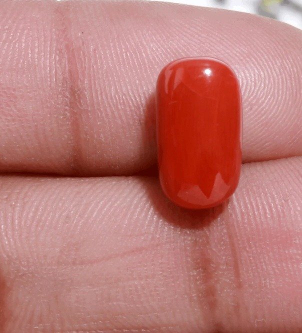 Red Coral (Moonga) Red Coral (Moonga)