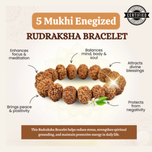 Natural Rudraksha bracelet
