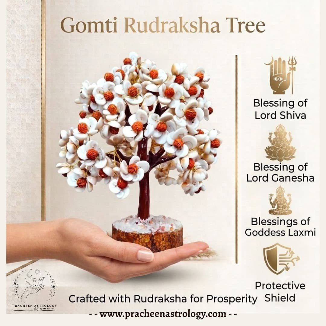 Gomti Rudraksha Tree Gomti Rudraksha Tree