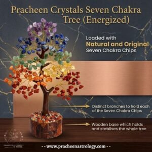Pracheen Crystals 7 Chakra Tree