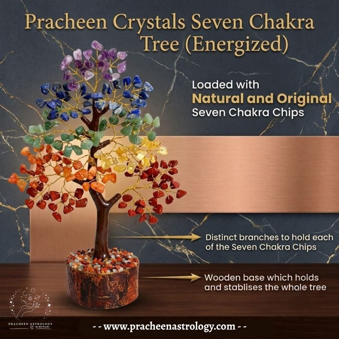 Pracheen Crystals 7 Chakra Tree Pracheen Crystals 7 Chakra Tree