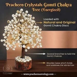 Pracheen Crystals Gomti Chakra Tree