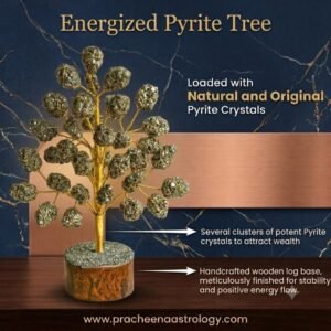 Pracheen Crystals Pyrite Crystal Tree