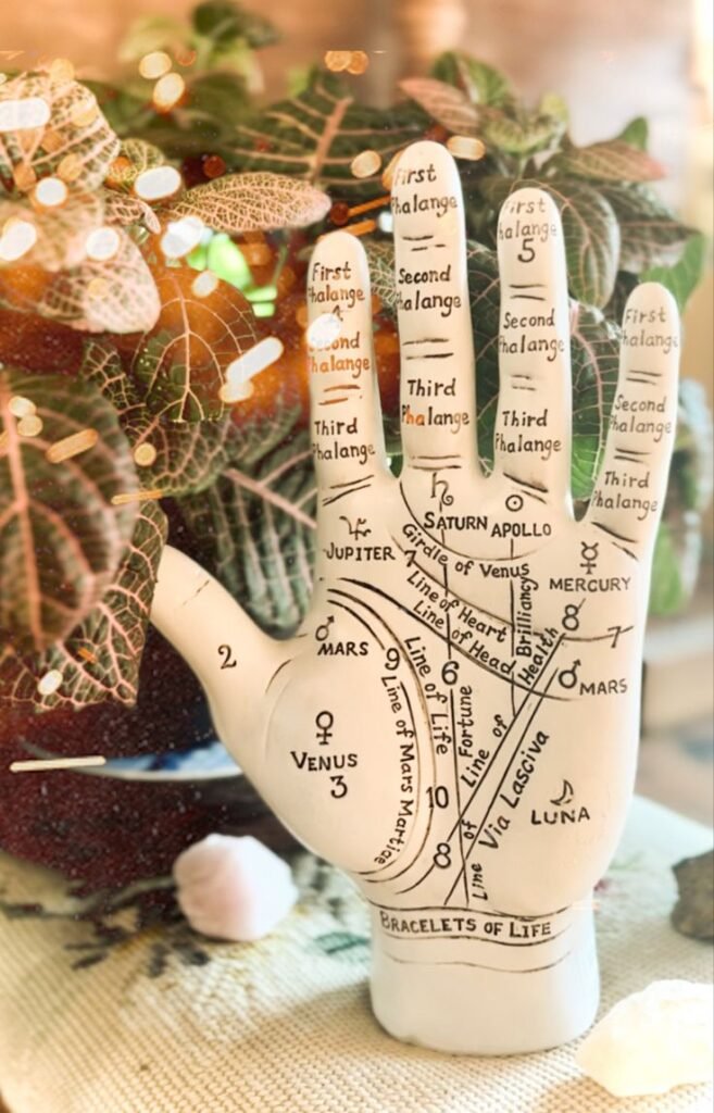 Palmistry Guidance​​
